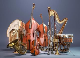 What Instrument Plays The Melody In This Excerpt From Prokofiev’s Peter And The Wolf? What instrument plays the melody in this excerpt from Prokofiev's Peter and the wolf?