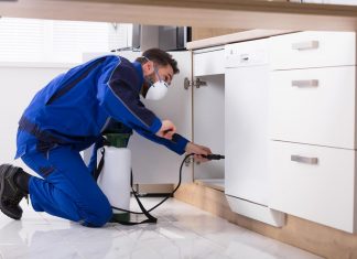 Why Do We Need To Prevent And Control Pests And Rodents? Why Do We Need To Prevent And Control Pests And Rodents?