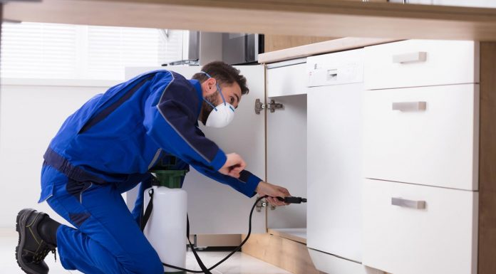 Why Do We Need To Prevent And Control Pests And Rodents? Why Do We Need To Prevent And Control Pests And Rodents?