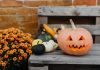 Tricks to Scare up a Safe Halloween at Your Home Tricks to Scare up a Safe Halloween at Your Home