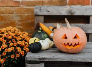 Tricks to Scare up a Safe Halloween at Your Home Tricks to Scare up a Safe Halloween at Your Home