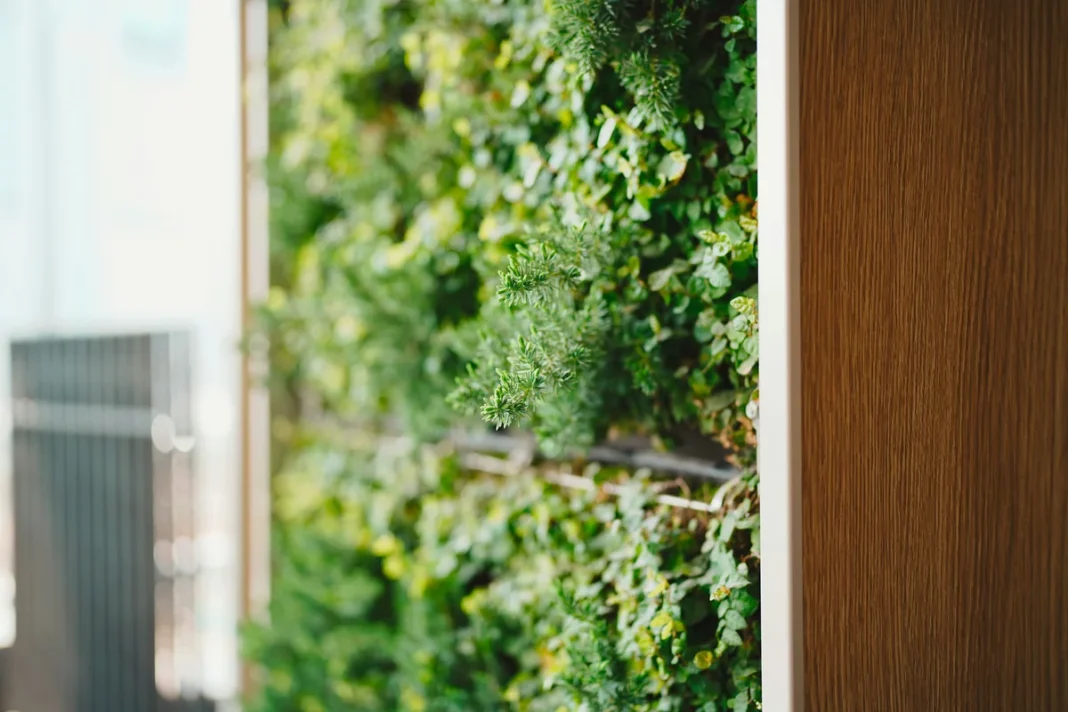 vertical garden Indoor vertical garden plant vertical garden