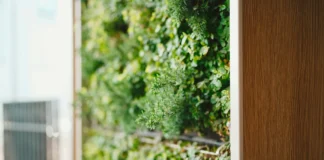 Transform your interior with an indoor vertical garden Indoor vertical garden plant vertical garden