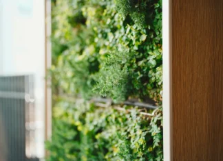 Transform your interior with an indoor vertical garden Indoor vertical garden plant vertical garden