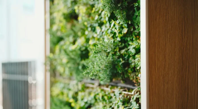 Transform your interior with an indoor vertical garden Indoor vertical garden plant vertical garden