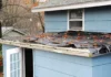 Roof Need Replacement? Your Top Roofing Options in 2026 Roof Need Replacement