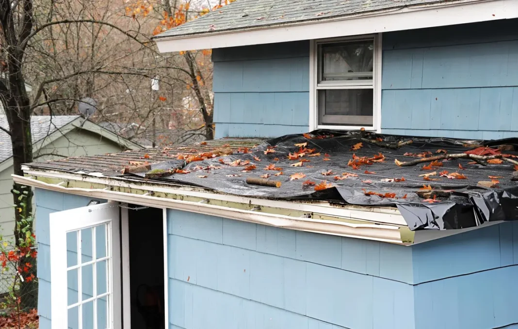 Roof Need Replacement