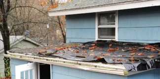 Roof Need Replacement? Your Top Roofing Options in 2026 Roof Need Replacement