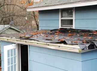 Roof Need Replacement? Your Top Roofing Options in 2026 Roof Need Replacement