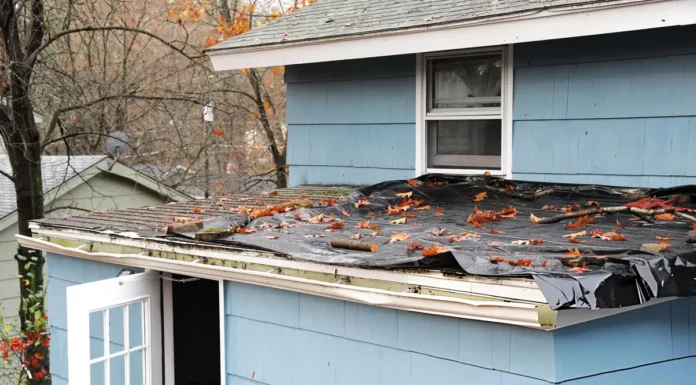 Roof Need Replacement? Your Top Roofing Options in 2026 Roof Need Replacement